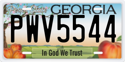 GA license plate PWV5544