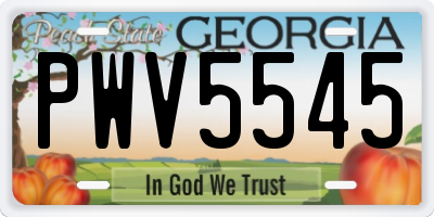 GA license plate PWV5545