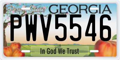 GA license plate PWV5546