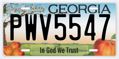 GA license plate PWV5547