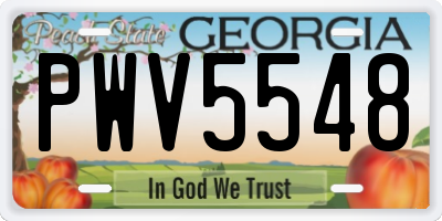 GA license plate PWV5548
