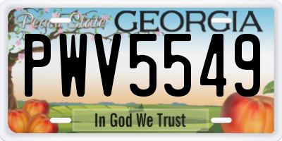 GA license plate PWV5549