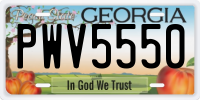 GA license plate PWV5550