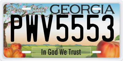GA license plate PWV5553