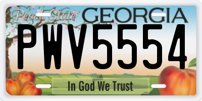 GA license plate PWV5554