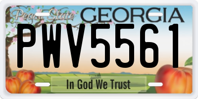 GA license plate PWV5561