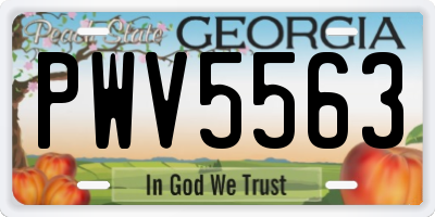 GA license plate PWV5563