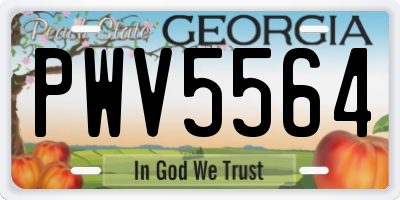 GA license plate PWV5564