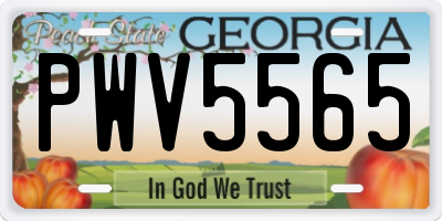 GA license plate PWV5565