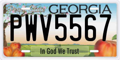 GA license plate PWV5567