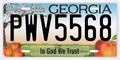 GA license plate PWV5568