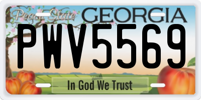 GA license plate PWV5569