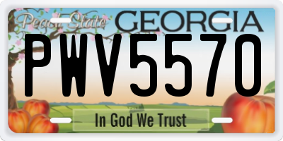 GA license plate PWV5570