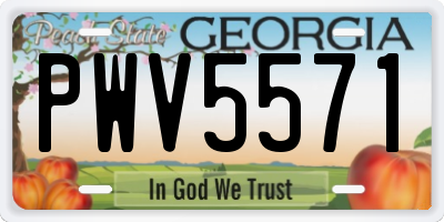 GA license plate PWV5571