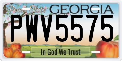 GA license plate PWV5575