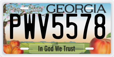 GA license plate PWV5578