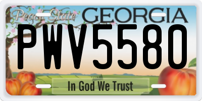 GA license plate PWV5580