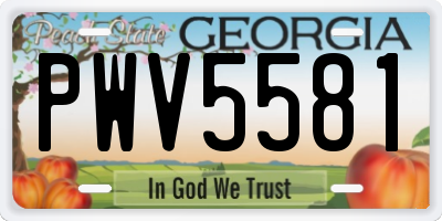 GA license plate PWV5581