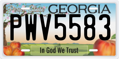 GA license plate PWV5583