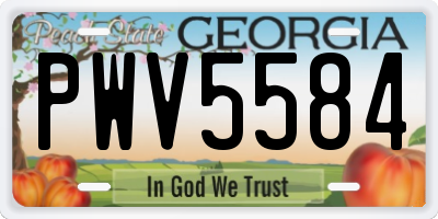GA license plate PWV5584