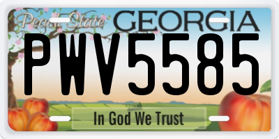 GA license plate PWV5585