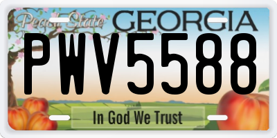 GA license plate PWV5588