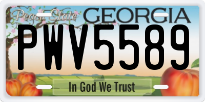 GA license plate PWV5589