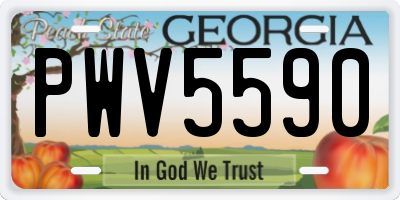GA license plate PWV5590