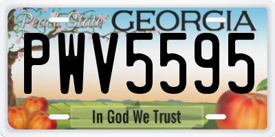 GA license plate PWV5595