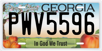 GA license plate PWV5596