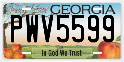 GA license plate PWV5599