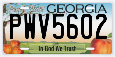 GA license plate PWV5602