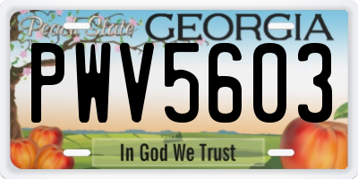GA license plate PWV5603