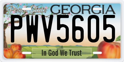 GA license plate PWV5605