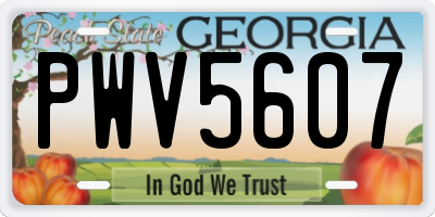 GA license plate PWV5607
