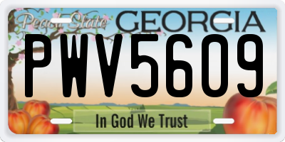 GA license plate PWV5609