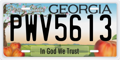 GA license plate PWV5613