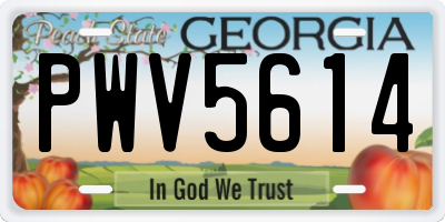GA license plate PWV5614