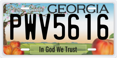 GA license plate PWV5616
