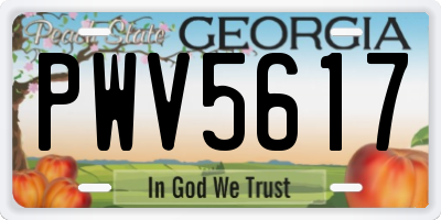 GA license plate PWV5617