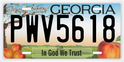 GA license plate PWV5618