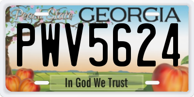 GA license plate PWV5624