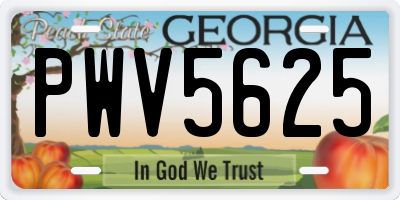 GA license plate PWV5625