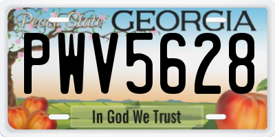 GA license plate PWV5628