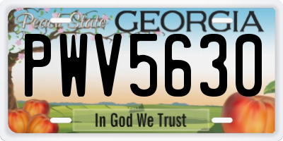 GA license plate PWV5630