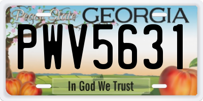 GA license plate PWV5631