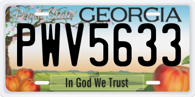 GA license plate PWV5633