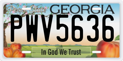 GA license plate PWV5636