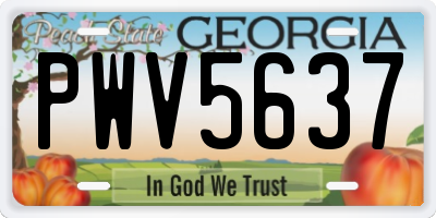 GA license plate PWV5637
