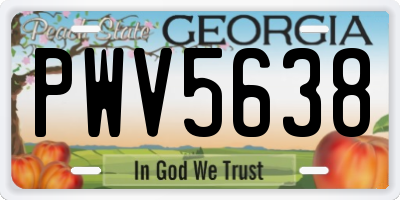 GA license plate PWV5638